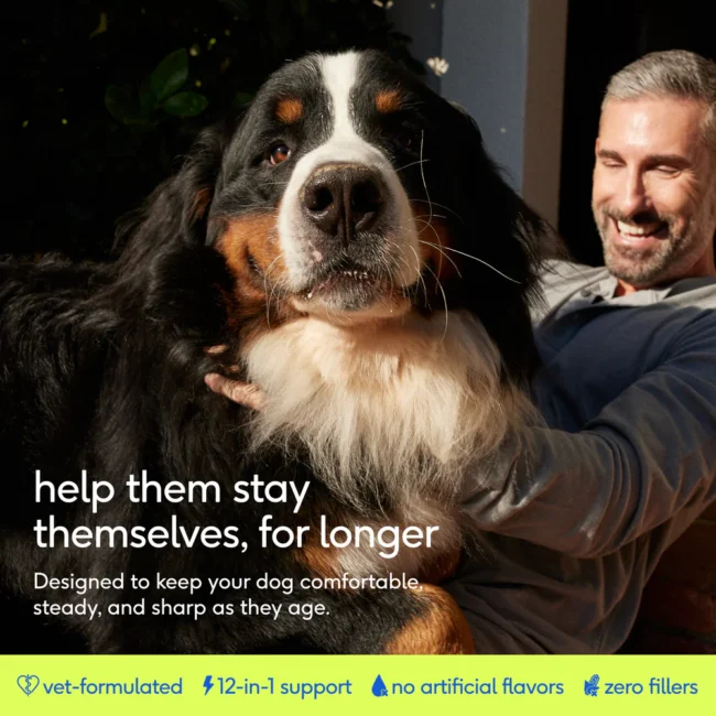 NP-DTC-SrDaily-2-Intro_f953d037-3fa1-4724-ae99-446a750af81f