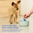 NP-DTC-SrDaily-3-Usage_4f7a48cf-31e3-47db-b1fa-52569d9165f7