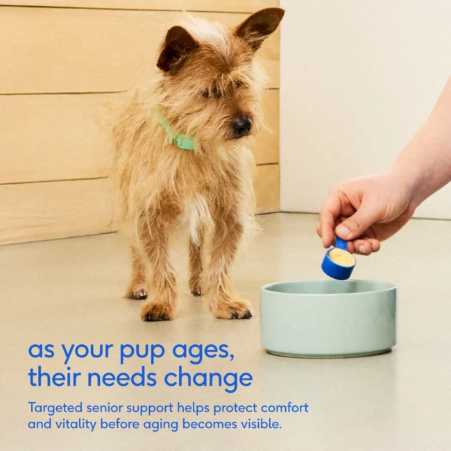 NP-DTC-SrDaily-3-Usage_4f7a48cf-31e3-47db-b1fa-52569d9165f7