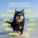 NP-DTC-SrDaily-4-Benefits_0d09e219-637e-4dc1-97d1-090b264ebcdd