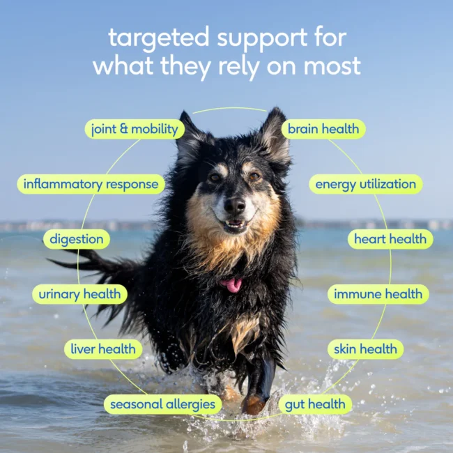 NP-DTC-SrDaily-4-Benefits_0d09e219-637e-4dc1-97d1-090b264ebcdd