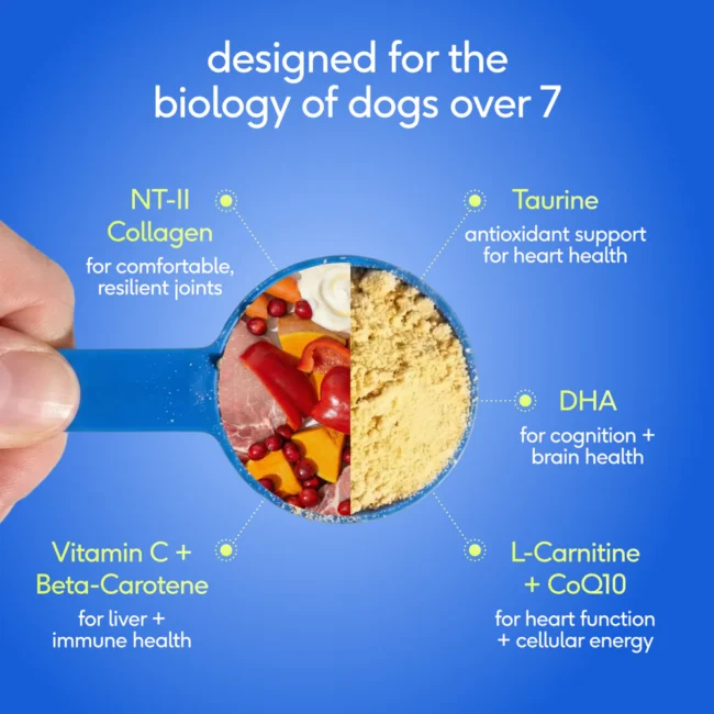 NP-DTC-SrDaily-6-Ingredients_58b37c73-7cca-412f-a4d0-3ba3b16e5453