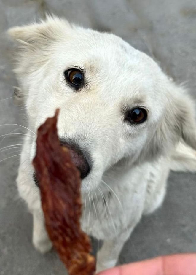 Image #1 from Jasmine