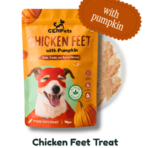 Chicken Feet with Pumpkin – Joint & Gut Support Treats for Dogs